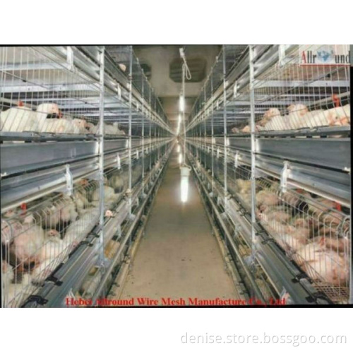 Galvanized Layer Cage